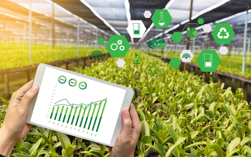 a person using tab to see the data of how the smart farming benefit him