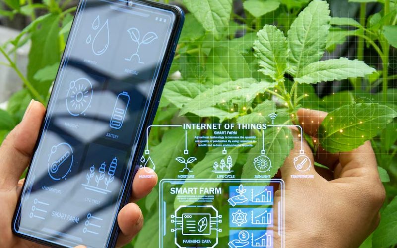 IoT powered smart farming