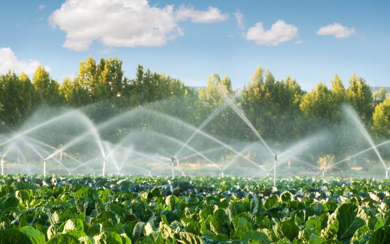 smart water management in farm